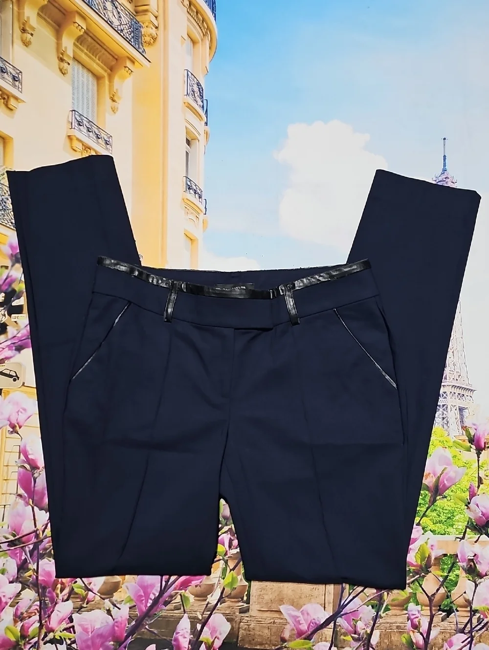 Ann Taylor Pleated Dress Pants Size 4 NWT
